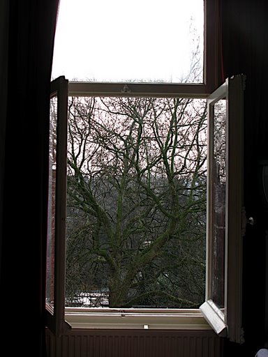 amsterdam_window.JPG